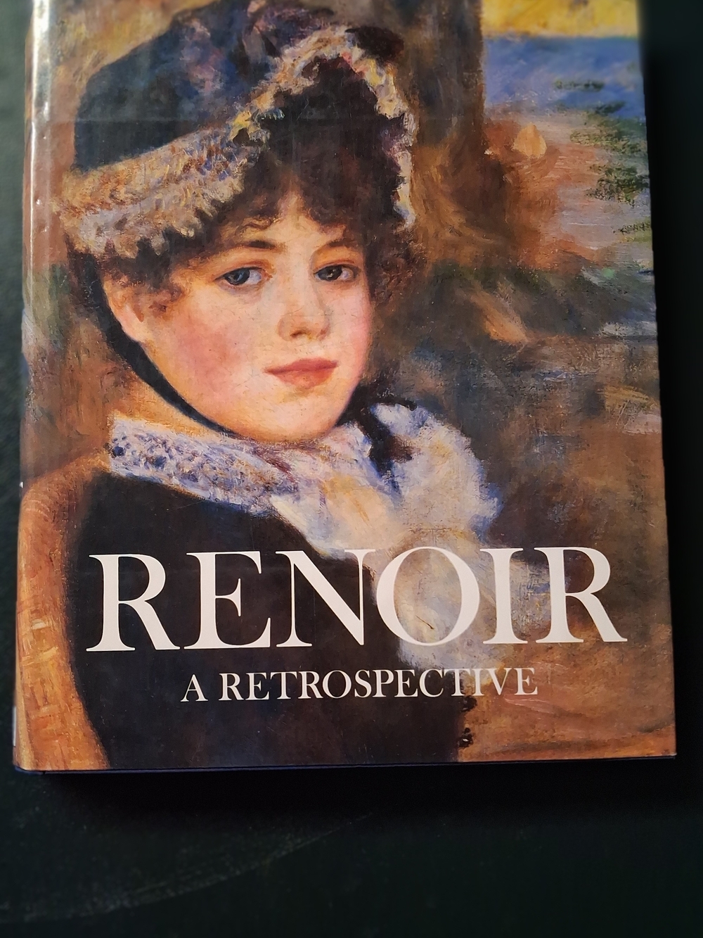 Renoir: A Retrospective Art Book - Multicolor Cover